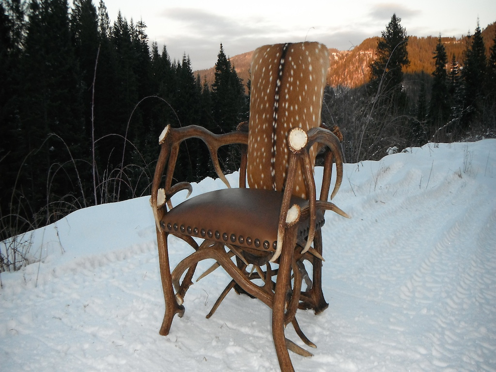 Single Sitting Elk Chair w/ Axis Hide