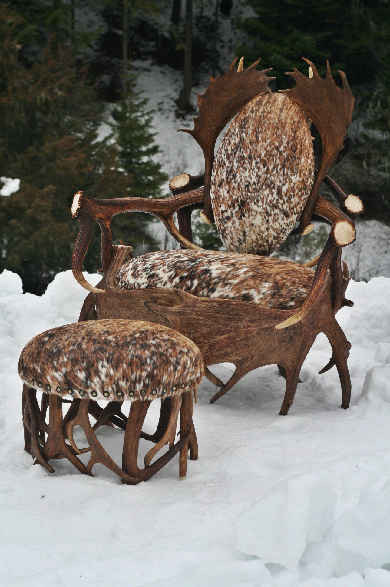 Large Single Moose Elk Fallow Chair w/ Ottoman