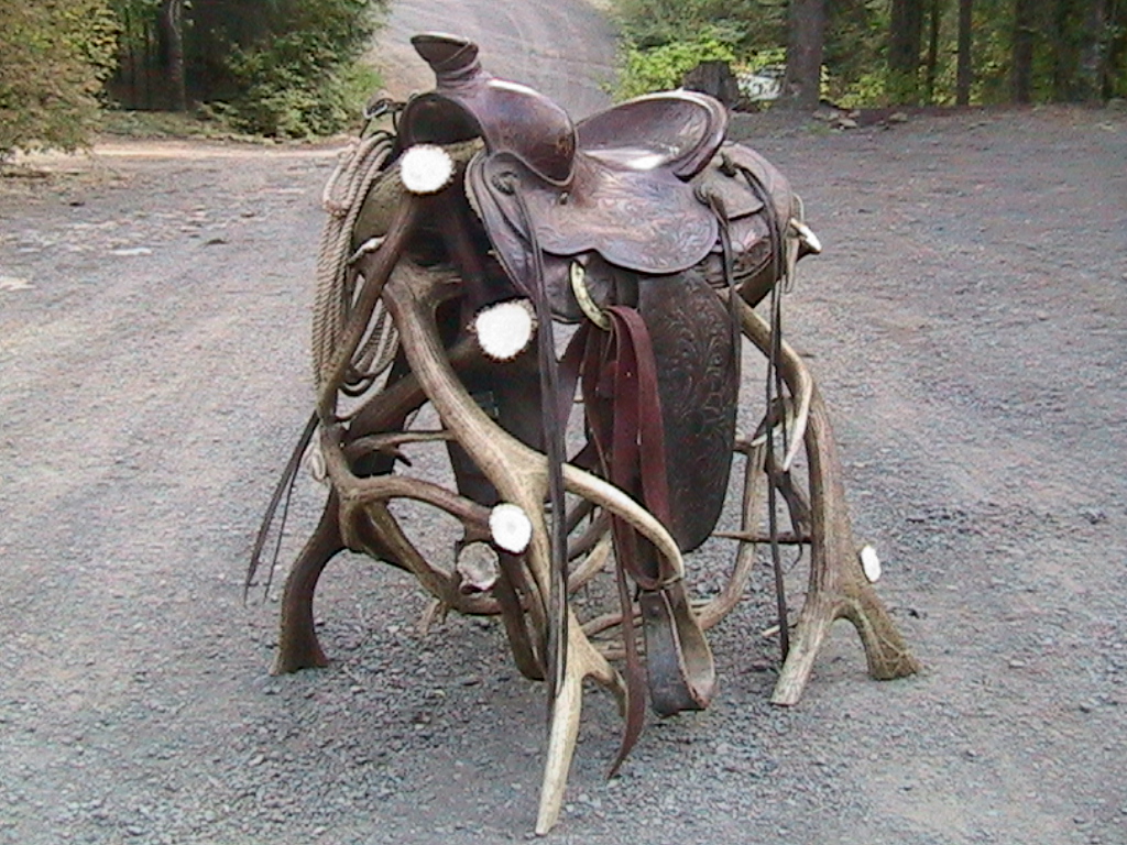 Saddle Rack (w/o Saddle)