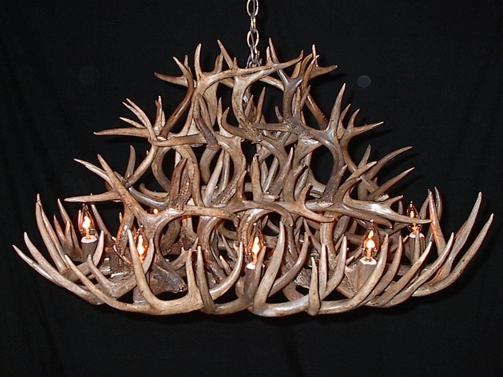 Tall Oval White Tail Chandelier