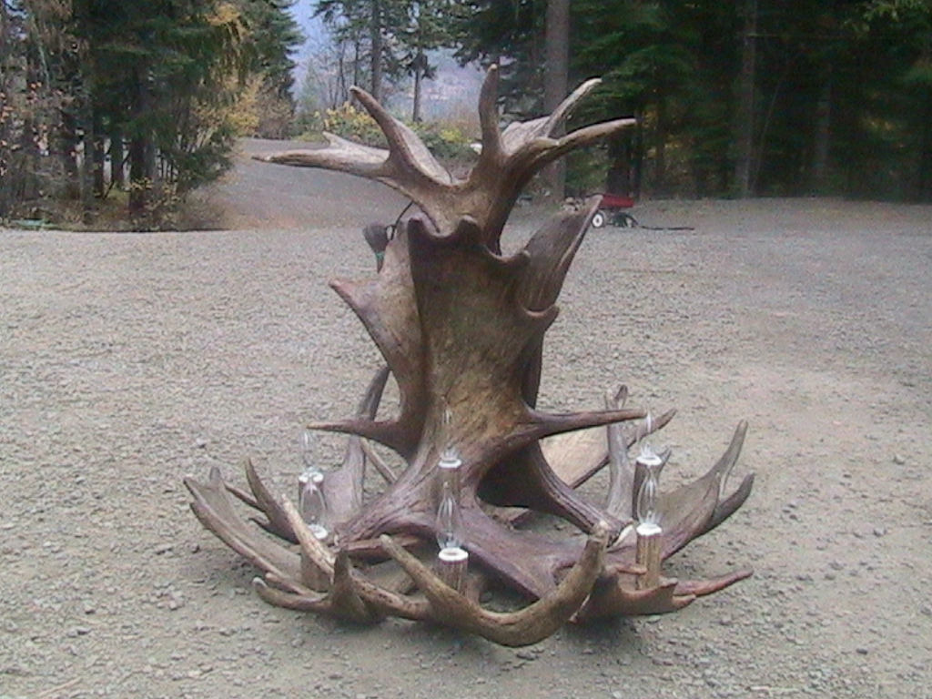 Small Moose Chandelier