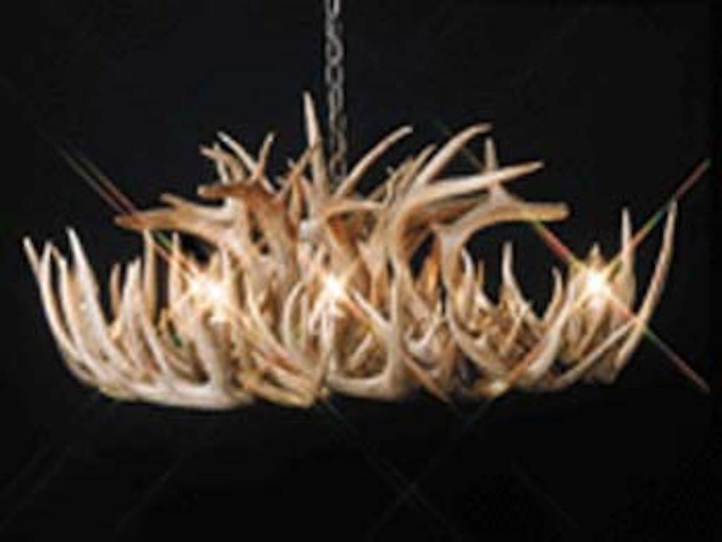 Standard Oval White Tail Chandelier