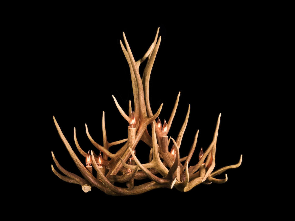 Round Elk Chandelier