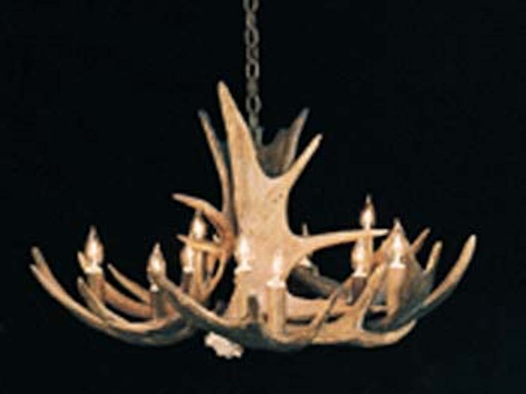 Small Moose Chandelier