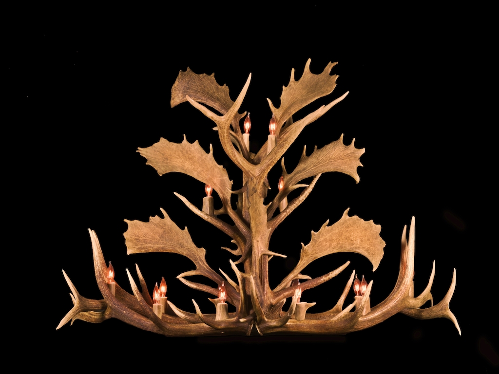 Long Fallow, Elk Chandelier