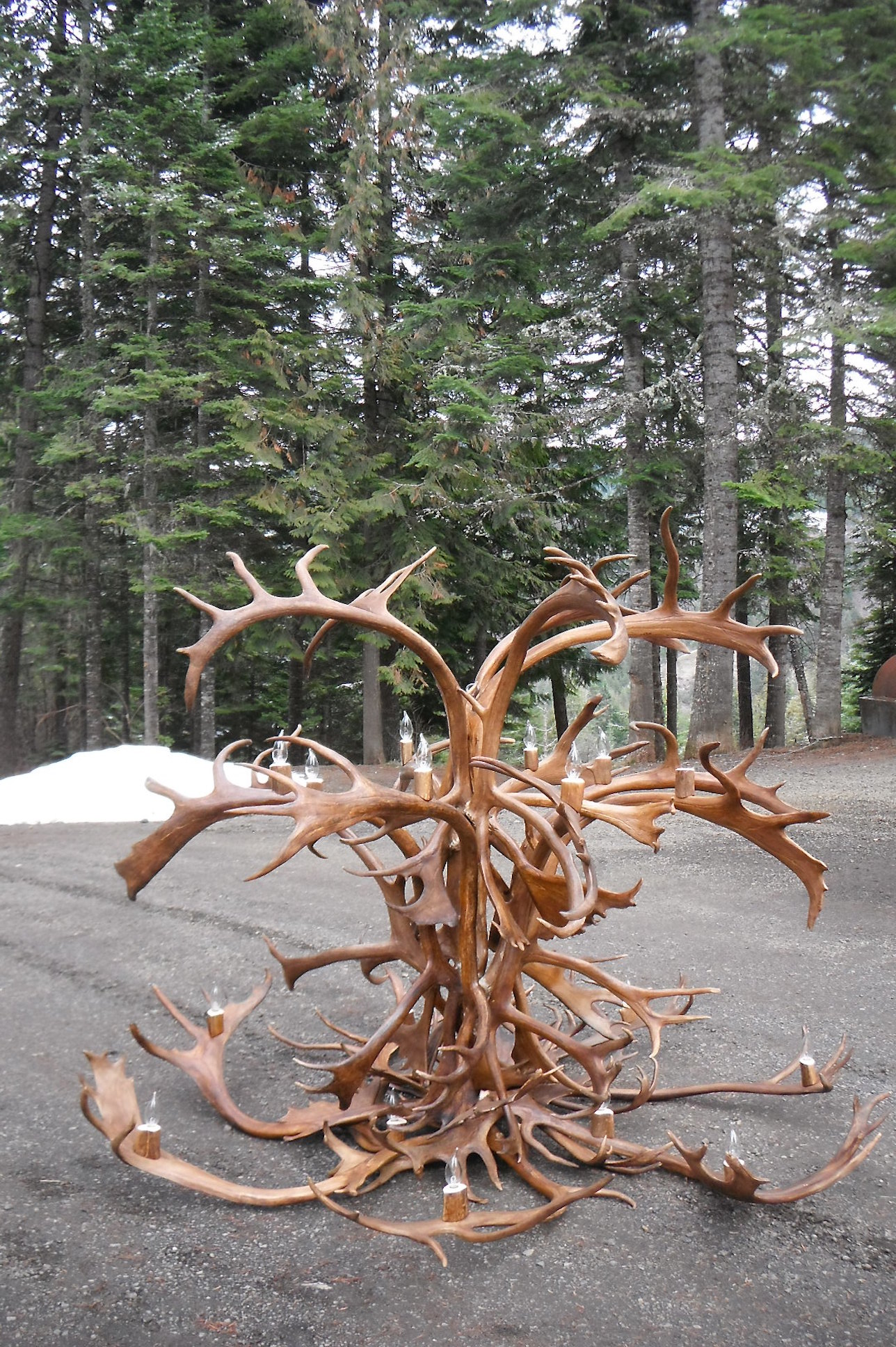 Large Caribou Chandelier