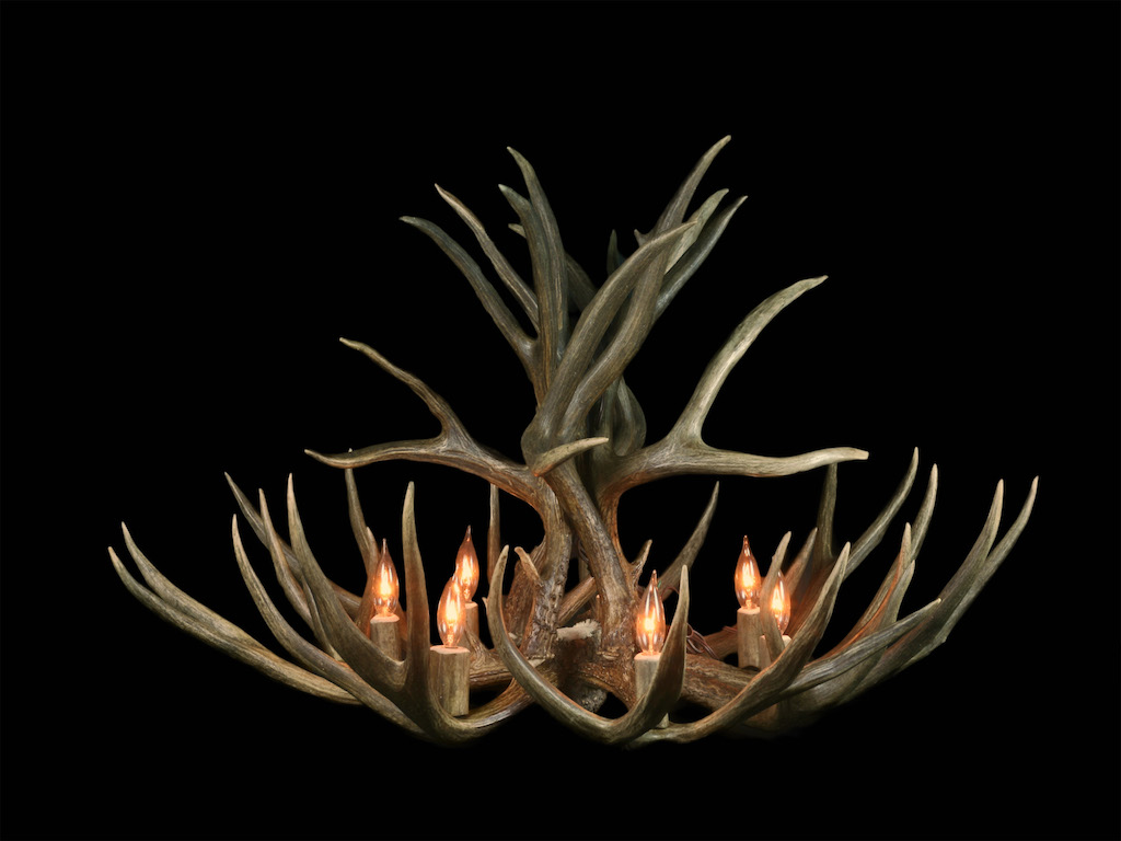 Large Standard Mule Deer Chandelier