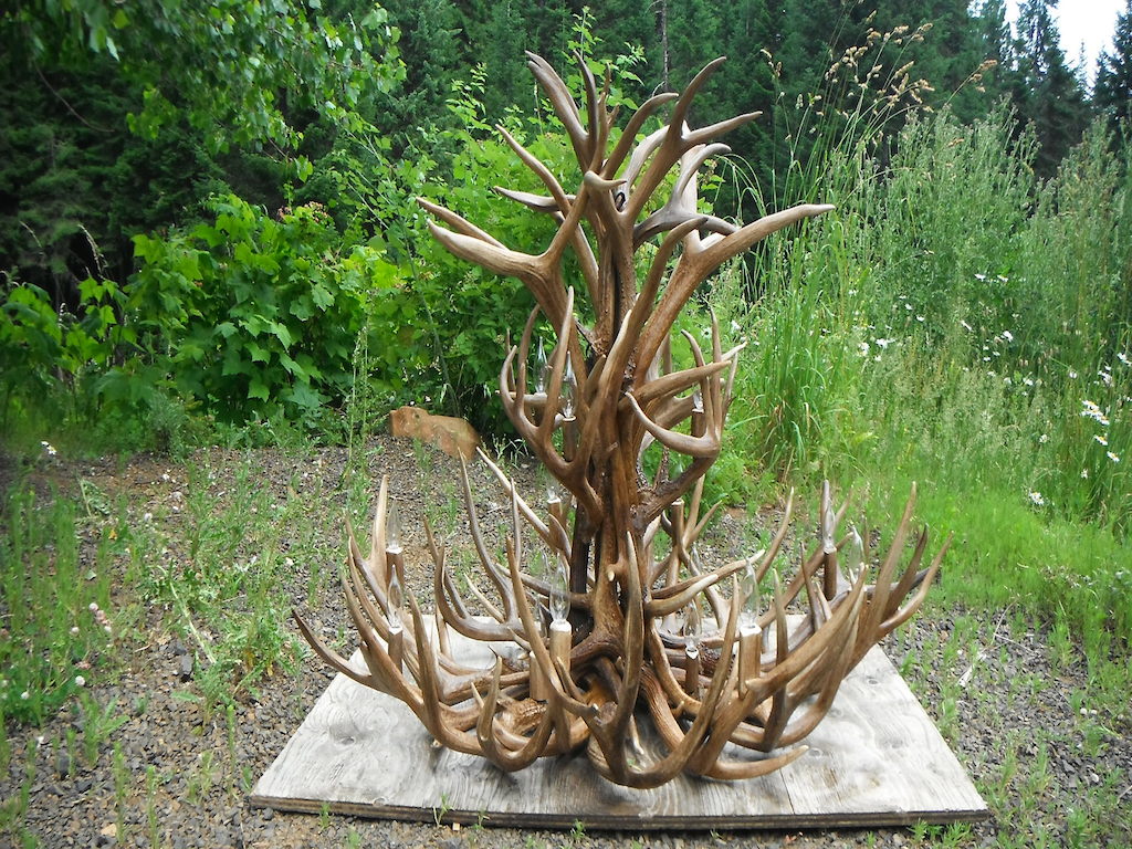 Elk Mule Deer, White Tail Chandelier