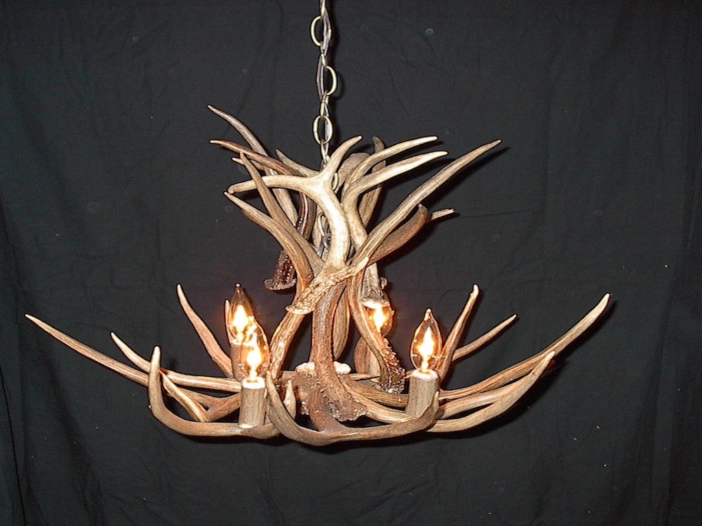 Small Mule Deer Chandelier