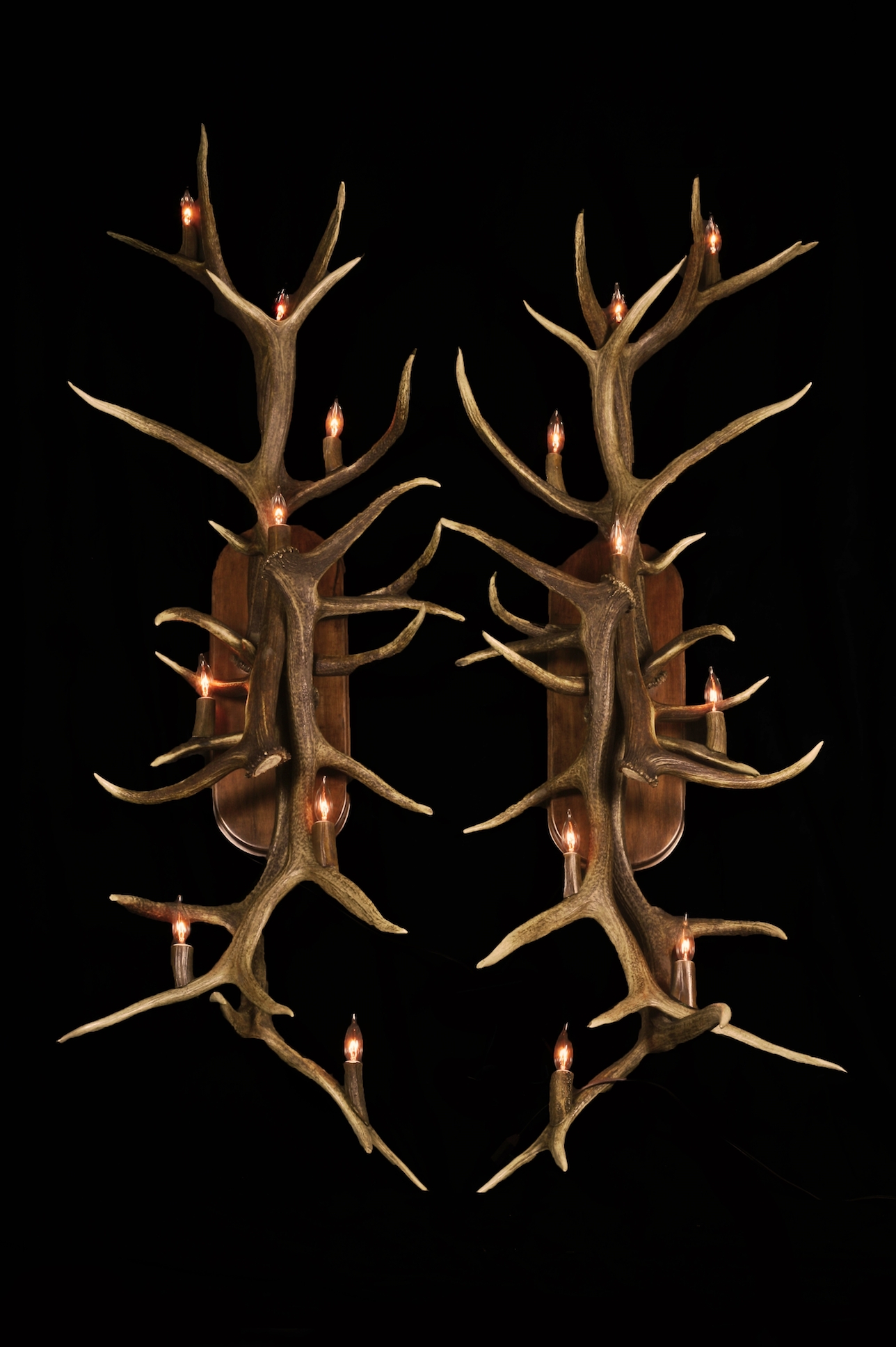 Large Elk Sconces